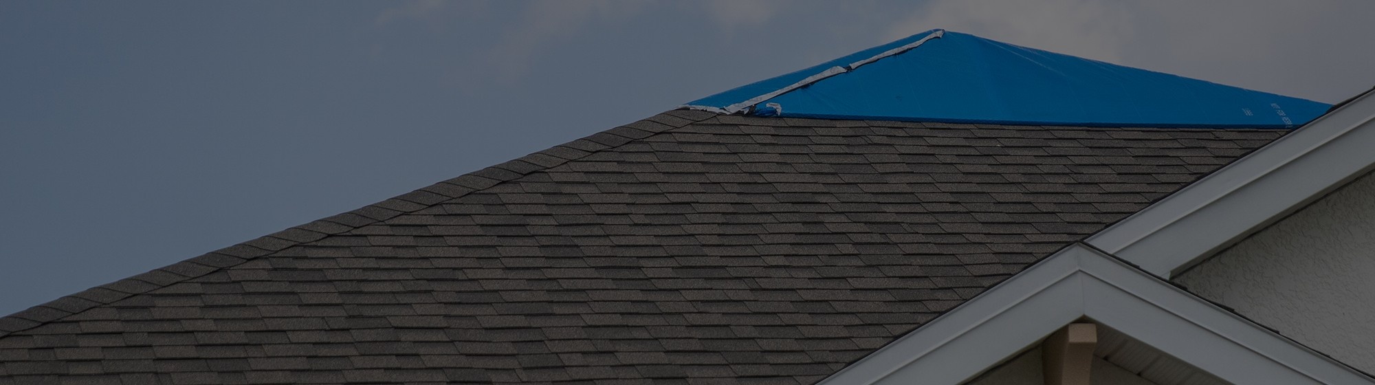 Damaged asphalt shingle roof in Wisconsin