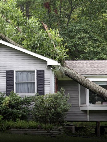 Roofing damaged by tree in storm