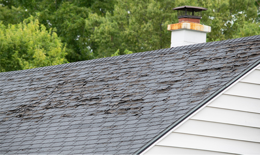 Damaged roof replacement services in Wisconsin