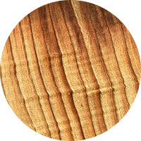 Cedar wood roofing icon